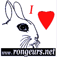 autcollant lapin nain