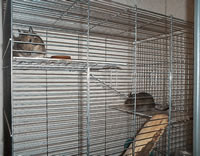 cage lapin