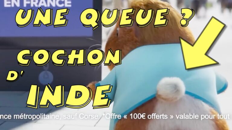 Lire la suite à propos de l’article Le cochon d’Inde n&rsquo;a pas de queue, la pub se trompe !