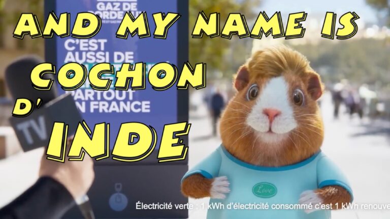 Lire la suite à propos de l’article Pourquoi le cochon d’Inde s’appelle-t-il ainsi ?