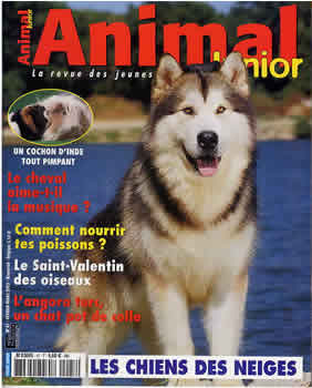 Journal Animal Junior