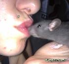 Photo de Rat Negro Et Lucille