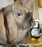 Photo de Nouveautes Bambou