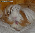 Photo de Vos Preferes 	Bidiboo	