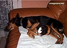 Portrait de Bill Et Rocky