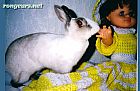 Photo de Lapin Bouba Et Anasara