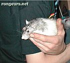 Photo de Nouveautes Boulie