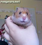 Portrait de Buffy