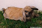 Portrait de Chouchou