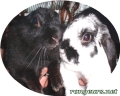 Portrait de 	Doudou Doudoune	