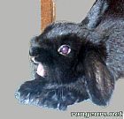 Photo de Vos Preferes 	Jessie	