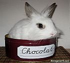 Portrait de 	Liloo	