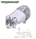 Photo de Nouveautes 	Lorie	