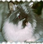 Portrait de 	Peppy	