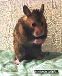 Portrait de Poupy
