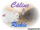 Photo de Lapin 	Caline Et Rick	