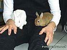 Photo de Nouveautes 	Titou Et Doris	